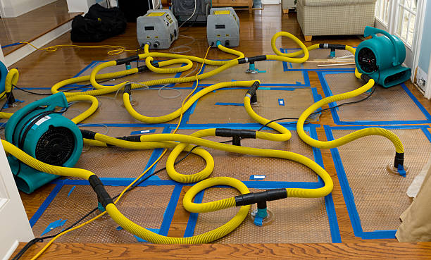 Professional Crawl Space Water Removal technician working in South Haven, MN